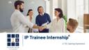IP Trainee Internship